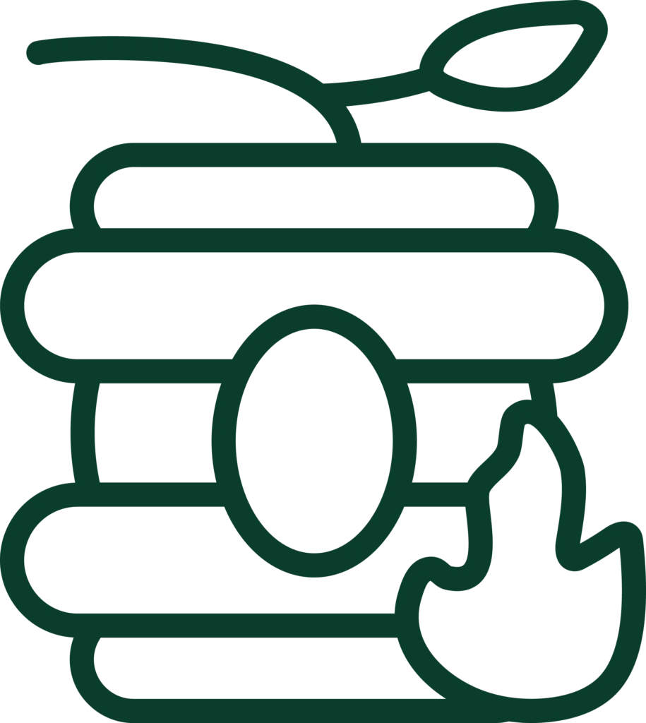 Eco-friendly pest control icon