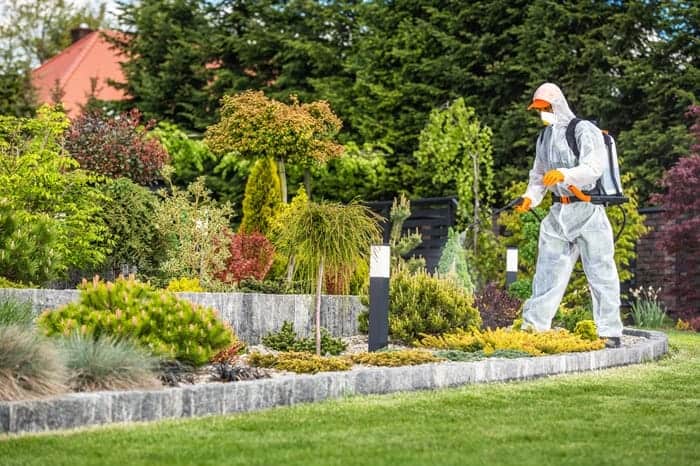 Pest control technician treating a landscaped residential property