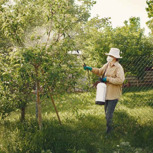 Insect Control