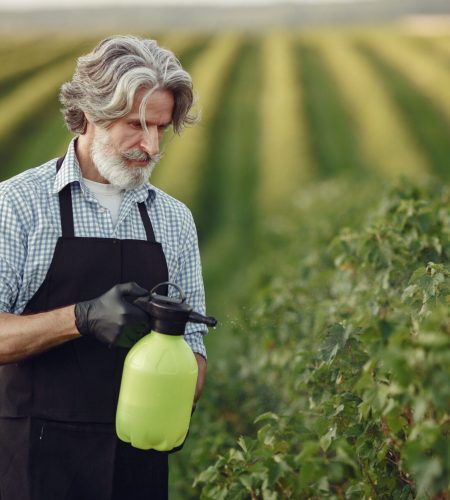 Eco-Friendly Pest Control