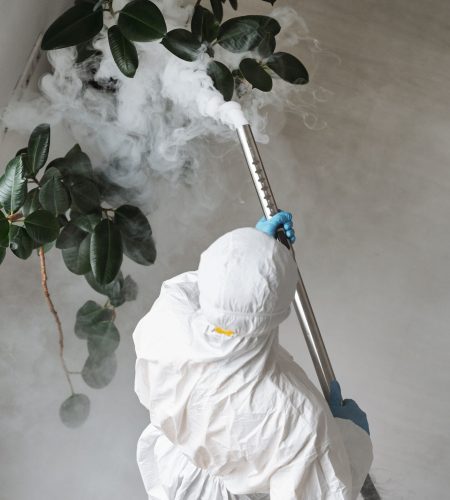 commercial pest control